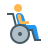 Persons with disabilities